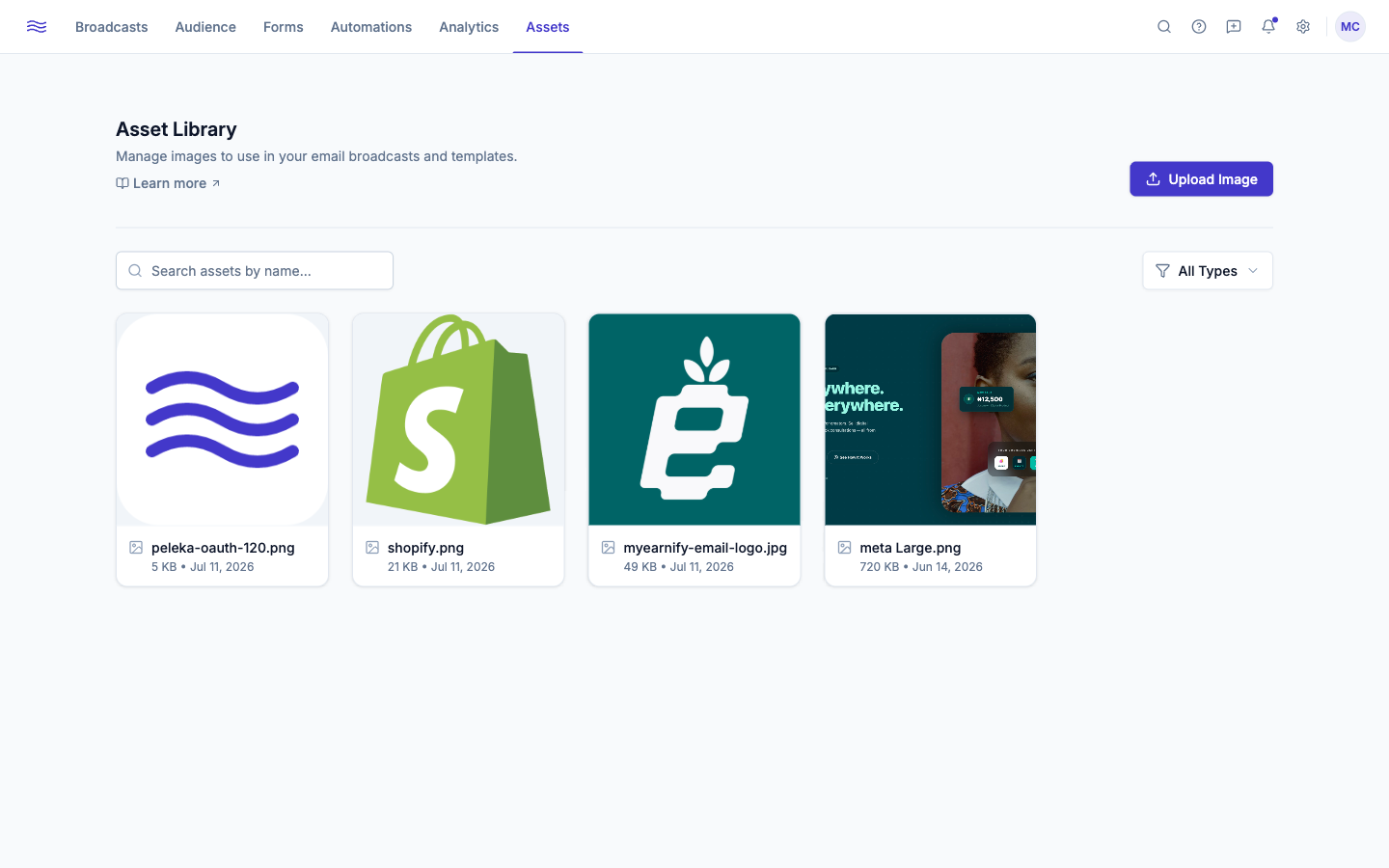 Asset Library — grid view with search and type filter
