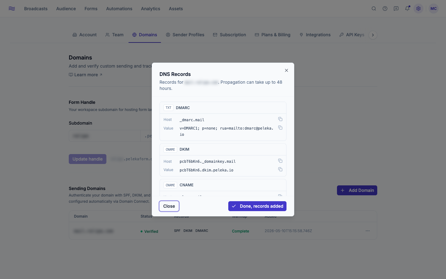 Domain detail — DNS records with verified/pending indicators