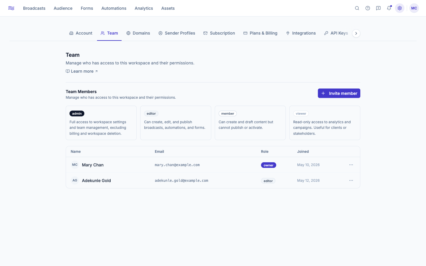 Settings → Team — role guide cards and member table